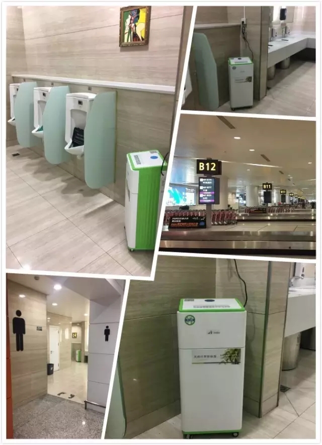 1536202126139022.jpg 6.jpg