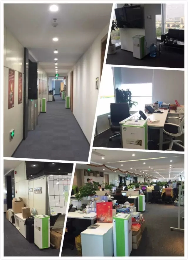 1536202347396021.jpg 11.jpg