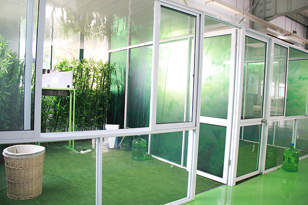 1536216911134629.jpg 4.jpg